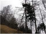 Reka - Kojca